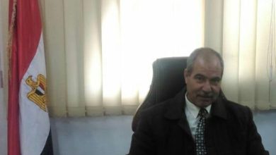 د. أيمن الأعصر يكتب: الترجمة والتواصل الحضاري