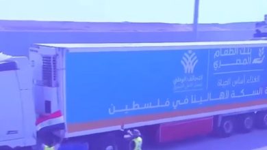 رئيس الشبكة الإقليمية لبنوك الطعام يعلن دخول شاحنات مساعدات إلى غزة