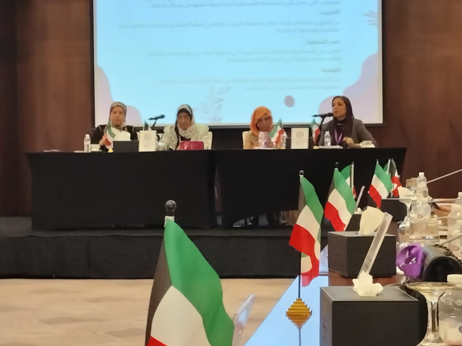 د. راندا رزق تدعو إلى التركيز على دور المرأة وتمكينها في عمليات صنع القرار