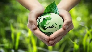 26 نوفمبر المقبل.. انطلاق مؤتمر "الاقتصاد الأخضر والتحول الرقمي ومسار التنمية المستدامة"