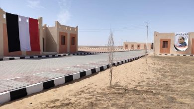 اتحاد المستثمرين: الدولة هيأت البنية التحتية لتحقيق التنمية في سيناء