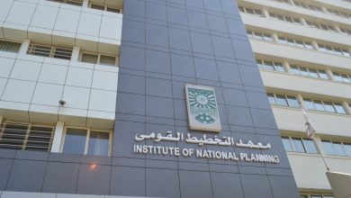 "التخطيط القومي" يعقد ورشة عمل لتعزيز التنمية المستدامة في دول إفريقيا