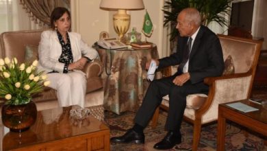 أبو الغيط يشيد بتقرير الإسكوا حول الحرب على غزة ويدعو لتخفيف آثار الحرب