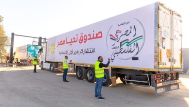 صندوق تحيا مصر: قافلة المساعدات الإنسانية الشاملة لإغاثة غزة تصل لميناء رفح البري