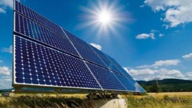 COP28.. "التعليم الأخضر" يؤهل أجيال المستقبل لقيادة مسار العمل المناخي