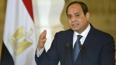 الرئيس السيسي يوجه بمواصلة تطوير أطر التعاون الدولي في المشروعات التنموية