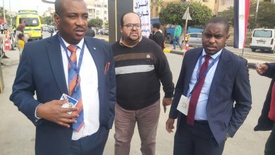 خاص بالصور| منظمات أجنبية تتابع سير العملية الانتخابية.. وحشود أمام اللجان قبيل فترة الراحة التصويتية