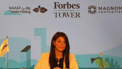 "المشاط": يجب تبنى مفهوم الاقتصاد الدائري في تمويل المبانى وإزالة الكربون