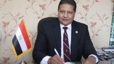 السفير مصطفى الشربيني يشيد بقانون الهيدروجين الأخضر يضع مصر لاعبا بارزا في تصدير الطاقة