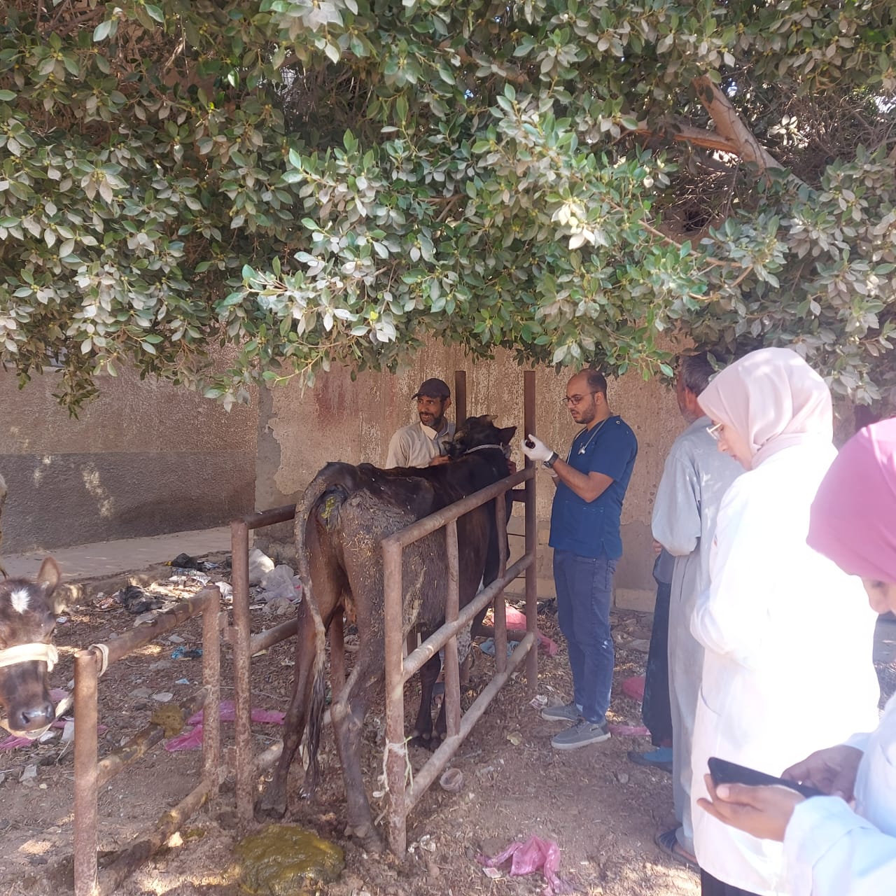 جامعة قناة السويس تطلق شاملة لقرية "الكوع بأم عزام" بمدينة القصاصين بالإسماعيلية