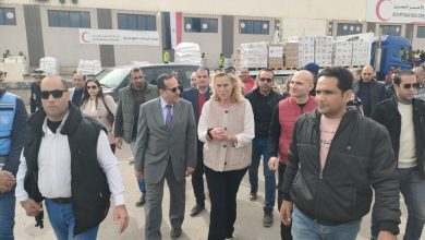 كبيرة منسقي الأمم المتحدة تتفقد مخازن المساعدات برفقة محافظ شمال سيناء