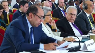 الجامعة العربية تشارك في القمة الاستثنائية للإيجاد
