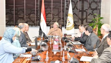 وزيرة البيئة: نسعى لتوفير مرجع لمتخذي القرار للتعامل الأمثل مع نوبات الطقس الحارة