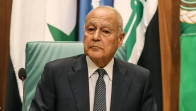 أبو الغيط يشيد بالمواقف الإفريقية الصلبة والمؤيدة للقضية الفلسطينية 