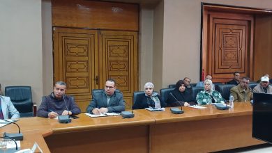 محافظة شمال سيناء تعلن انتهاء التعامل الورقي 