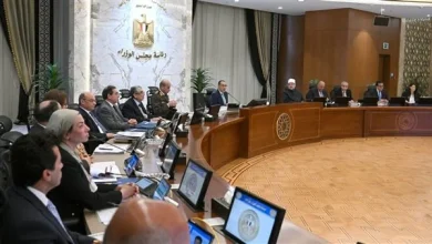 الحكومة توافق على تمويل برنامج التنمية المحلية لمحافظات صعيد مصر