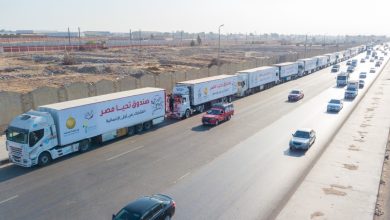 صندوق تحيا مصر يطلق 101 شاحنة تزن 1616طن لإغاثة أهل غزة