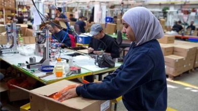 هنكل مصر: دعم وتمكين المرأة المصرية جزءًا متكاملًا من رحلتنا نحو التميز والاستدامة