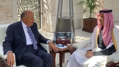 سامح شكري يعقد اجتماعاً ثنائياً مع رئيس مجلس الوزراء وزير الخارجية القطري
