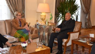 أبو الغيط يستقبل كبيرة منسقي الشئون الإنسانية وإعادة إعمار غزة ويؤكد: حرمان الفلسطينيين من المساعدات قرار بالإعدام