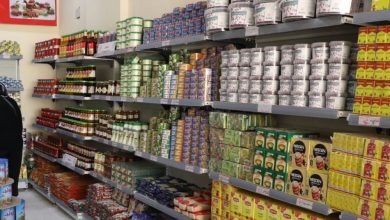 محافظ القاهرة : أكثر من ٢٦٠٠ منفذ ثابت ومتحرك في أحياء القاهرة