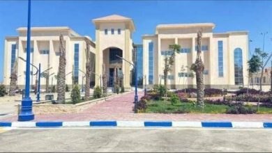 قرارات مجلس جامعة برج العرب التكنولوجية 