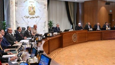 رئيس الوزراء: نتابع موقف انخفاض الأسعار والدولة حريصة على دعم المُصنعين والمصدرين