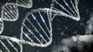 الذكاء الاصطناعي يحسّن تشخيص الاضطرابات الوراثية النادرة