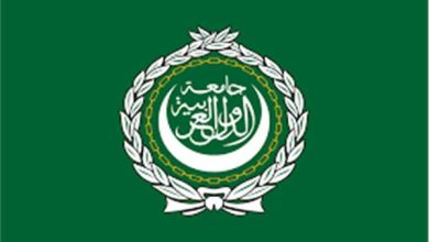 مناقشة تقريري مملكة البحرين وجمهورية مصر العربية لدى لجنة الميثاق العربي لحقوق الإنسان