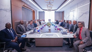 140.7 مليون دولار أمريكي إجمالي التكاليف الاستثمارية لشركات الهيئة العربية للاستثمار والإنماء الزراعي في المملكة المغربية