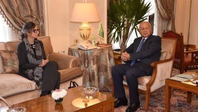 أبو الغيط يستقبل المقررة الخاصة للأمم المتحدة لحالة حقوق الإنسان في فلسطين ويؤكد: إسرائيل تسعى لكتم الأصوات التي تتحدث باستقلالية حول مذبحة غزة