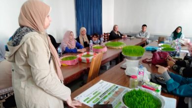 "زراعة البحيرة" تنظم دورة لتدريب السيدات على المبادرات الزراعية الحديثة 