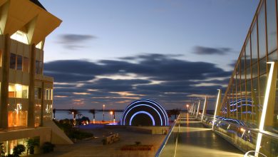 فتح باب التقديم لبرنامج شباب الباحثين العرب المنتسبين لأكاديمية العالم للعلوم للدول النامية بمكتبة الإسكندرية