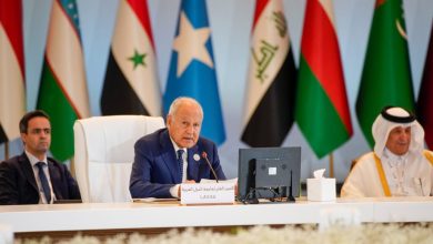 أبو الغيط يلتقي الزياني لمناقشة التحضيرات المتقدمة لعقد القمة العربية القادمة بالبحرين