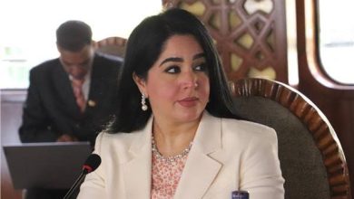 عضو المرصد العربي لحقوق الإنسان تدعو إلى وقف إطلاق النار في غزة والاستماع لصوت الضمير الإنساني