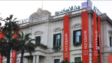 بنك الإسكندرية يصدر تقرير الاستدامة والمسؤولية المجتمعية السادس