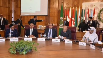 أبو الغيط يترأس أعمال الدورة (56) للجنة التنسيق العليا للعمل العربي المشترك