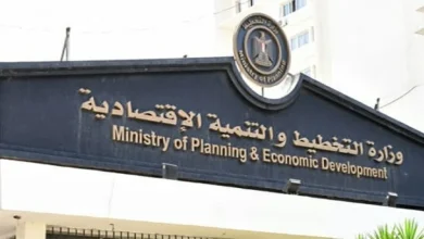 وزارة التخطيط والتنمية والاقتصادية وهيئة النيابة الإدارية يطلقان البرنامج التدريبي "تنمية مهارات الحاسب الألى والتقنيات الحديثة"
