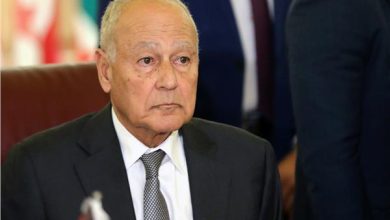 أبو الغيط يُرحب بقرار للجمعية العامة يُعزز أهلية فلسطين لعضوية الأمم المتحدة