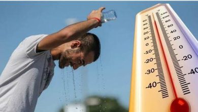 بالفيديو| "الأرصاد": استمرار الموجة شديدة الحارة حتى نهاية الأسبوع الحالي