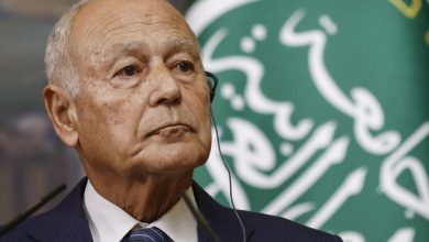 أبو الغيط يُدين العدوان الاسرائيلي على جنين