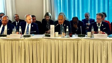 ابو الغيط للوزراء الأوروبيين: الاعتراف بدولة فلسطينية مستقلة هو الخطوة الصحيحة التي يمكن اتخاذها الآن 