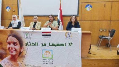 برعاية المجلس القومي للمرأة  يوم تدريبي لمناهضة العنف ضد المرأة وختان الإناث
