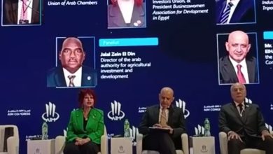 هدى يسي: اتحاد المستثمرات العرب يطبق تكامل القوى الاقتصادية من خلال انضمام كبار الشخصيات أصحاب القرار بالدول الأفريقية 
