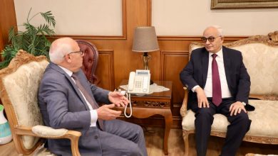 محمد فايز فرحات: قناعة مصرية بأن القوة العسكرية ليست حلًا لأي صراع