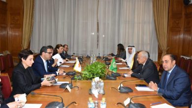 أبو الغيط يستقبل وزير خارجية قبرصويؤكد إرسال المساعدات إلى غزة عبر البحر ليس بديلاً عن المعابر البرية