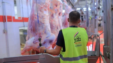 صندوق تحيا مصر يطلق مبادرة "أضاحى" لتوزيع اللحوم على الأسر الأولى بالرعاية
