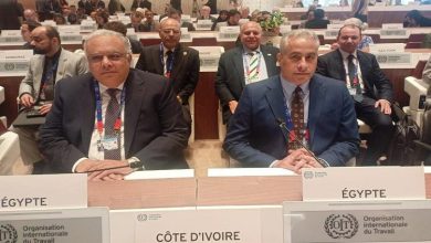 وزير العمل يُشارك في الجلسة الافتتاحية لمؤتمر العمل الدولي بجنيف..ويلقى كلمة مصر غدًا الثلاثاء ..