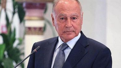 أبو الغيط يرحب باعتراف أرمينيا بالدولة الفلسطينية