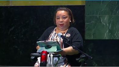 الخبيرة الأممية هبة هجرس: إدراج ومشاركة الأشخاص ذوي الإعاقة في خطط التنمية المستدامة أولى اهتمامتى